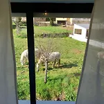 Σπίτι διακοπών Casa Da Ribeira Em *