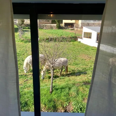 펜션 Casa Da Ribeira Em *