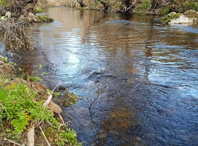 Casa Da Ribeira Em Casa de Férias