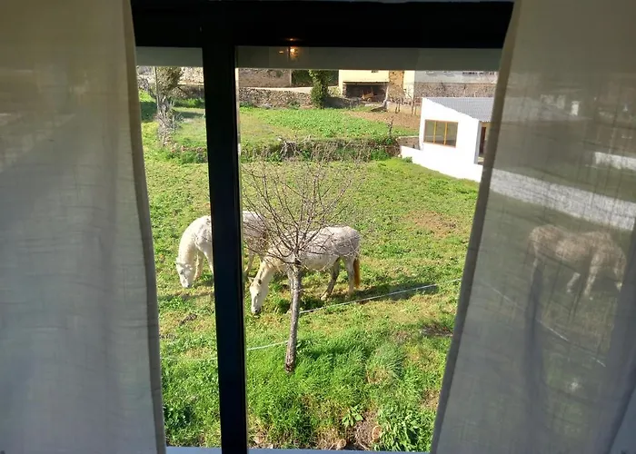 Holiday home Casa Da Ribeira Em *