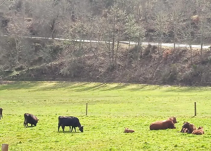 Casa Da Ribeira Em *